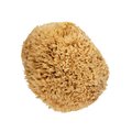 Xero Natural Sea Wool Sponge  Large SLW - Lg